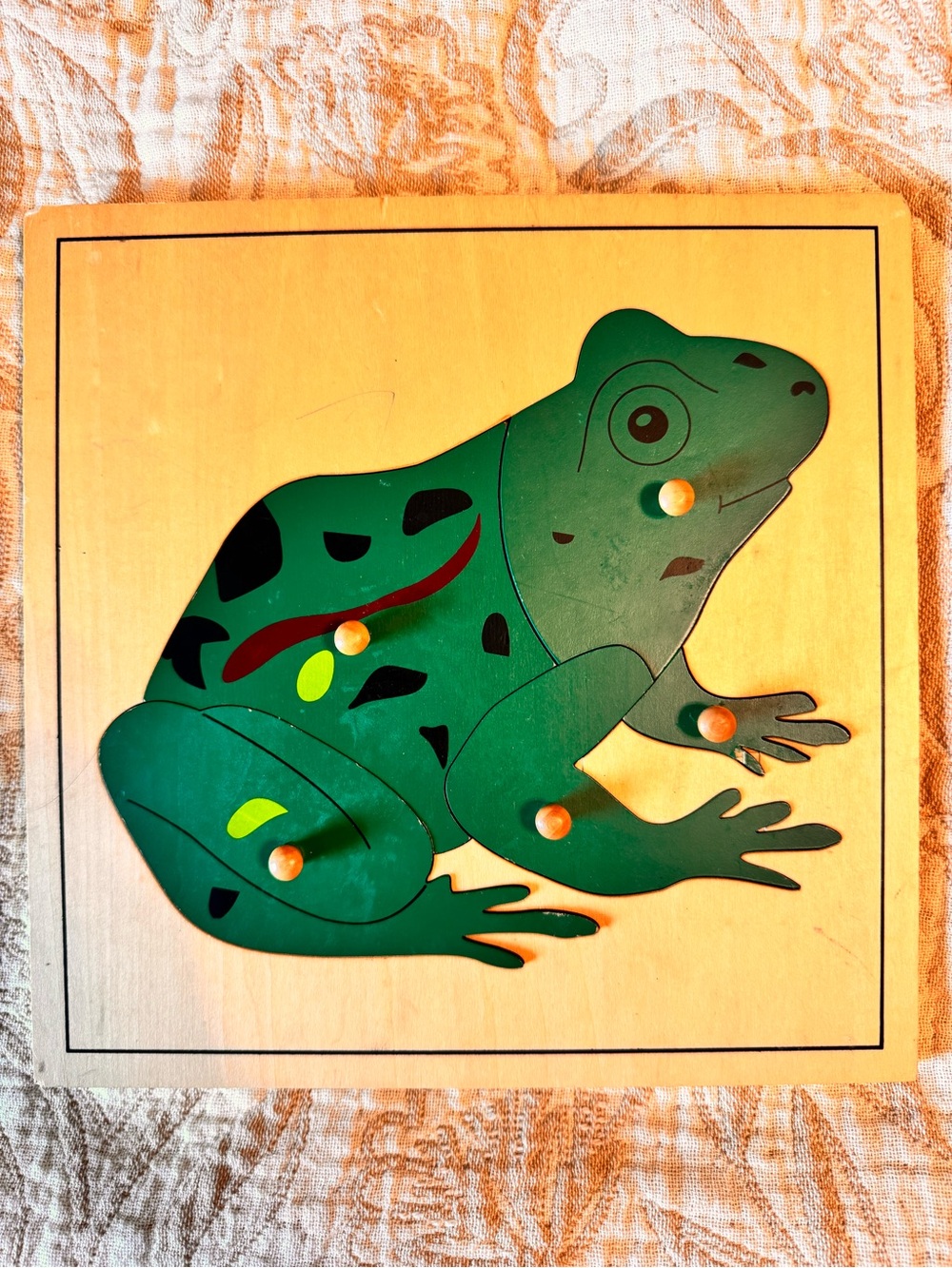 Wooden Frog Anatomy Puzzle | Montessori Learning Toy